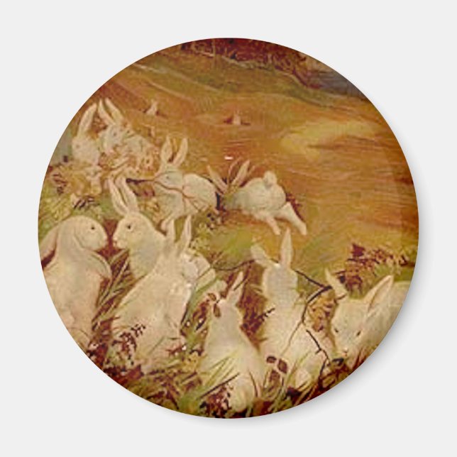 Íman Coelhos Vintage (Frente)