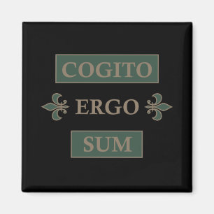 Íman cogito ergo sum, frase latina