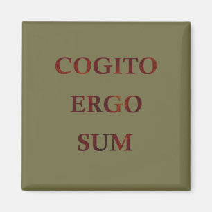 Íman cogito ergo sum, frase latina