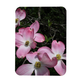 Íman Cogninho Rosa