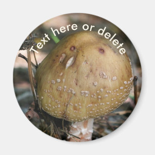 Íman Cogumelo Florestal Natureza Personalizado