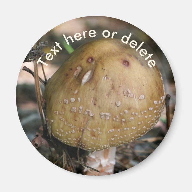 Íman Cogumelo Florestal Natureza Personalizado (Frente)