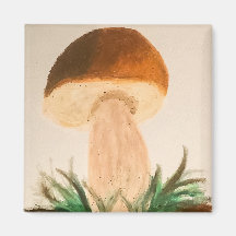 Cogumelo Porcini