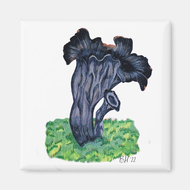 Íman Cogumelo Trombeta Preto Desenhado à Mão (Frente)