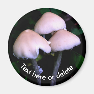 Íman Cogumelos da Meia-Noite Natureza Personalizada