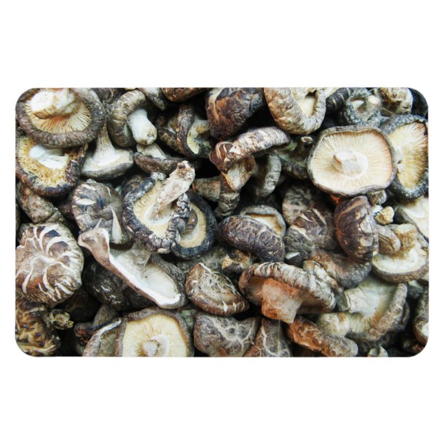 Íman Cogumelos Shiitake (Horizontal)