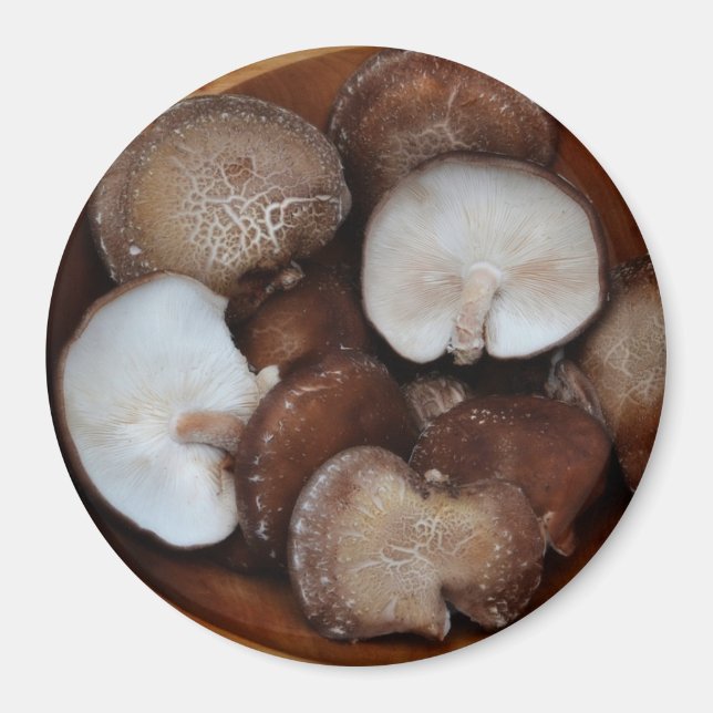 Íman Cogumelos shitake (Frente)