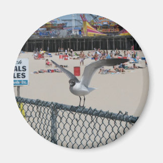 Íman Coisa da margem