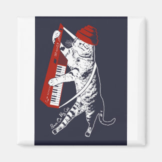 Íman coisas no meu gato - keytar