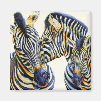 Íman Coisas Selvagens - Magneta Zebra