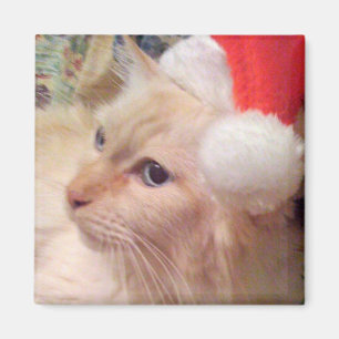 Íman Cokie o ímã do Natal do gato