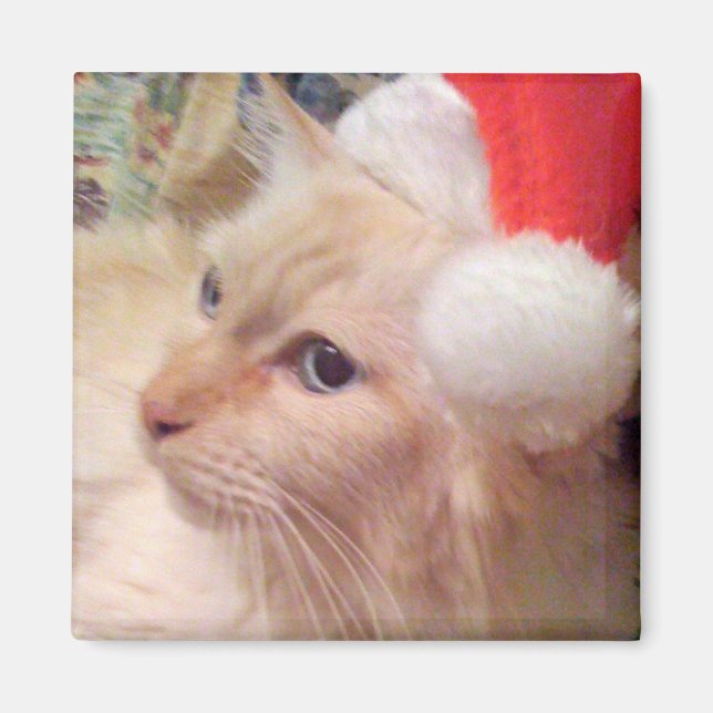 Íman Cokie, o Magneta de Natal do Gato (Frente)