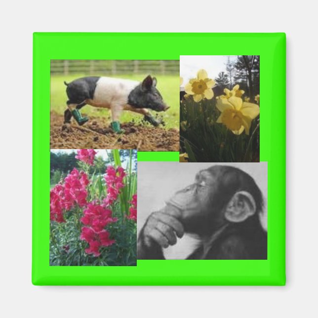 Íman Colagem de fotos (Frente)