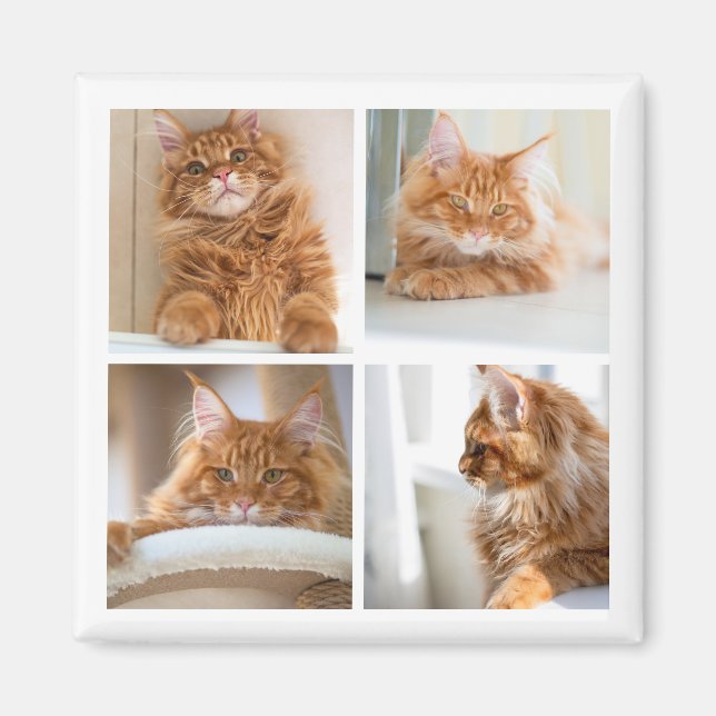 Íman Colagem de Grade Simples 4 Quatro Fotos (Frente)