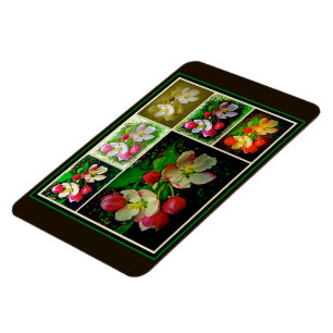 Íman Colagem do Flor da Maçã - Foto Digital Avançada