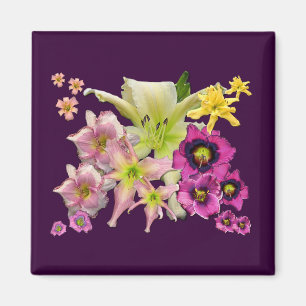 Íman Colagem do hemerocallis
