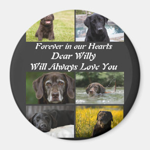 Íman Colagem Fotográfica Pet Memorial 6, moderna e pers