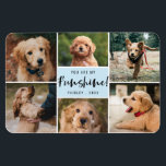 Íman Colagem Fotográfica Você É Meu Funshine | Pet Azul<br><div class="desc">Este moderno e estilizado ímã fotográfico apresenta tipografia na moda,  lendo,  "Você é meu Funshine"! Seis modelos de fotos estão incluídos para mostrar suas fotos favoritas! Um modelo de texto também é incluído para nome e ano. A cor pode ser personalizada para qualquer cor que você quiser!</div>