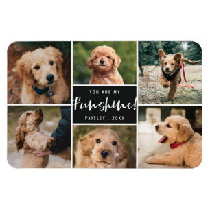 Íman Colagem Fotográfica Você É Meu Funshine   Pet Pret
