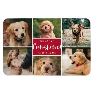 Íman Colagem Fotográfica Você É Meu Funshine   Red Pet