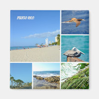 Colagem natural de San Juan, Porto Rico