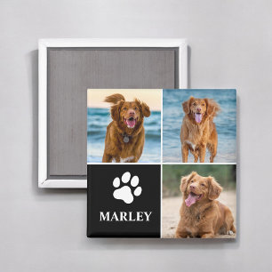 Íman Colar de Fotos Personalizado de Cachorro Simples M