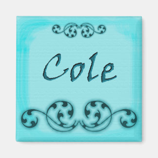 Íman Cole Magnet Ornamental