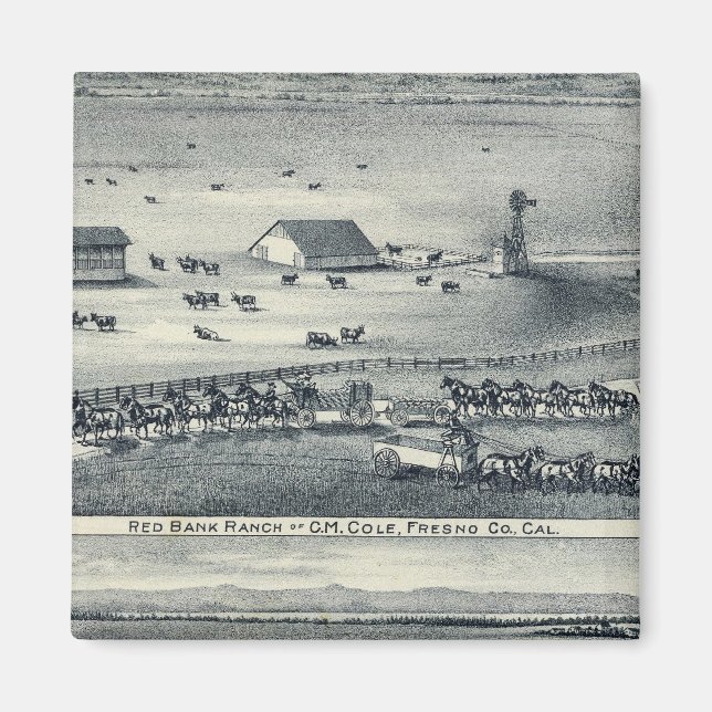 Íman Cole Ranches (Frente)