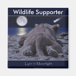 Íman Coleção BONITO do FILHOTE de LEÃO