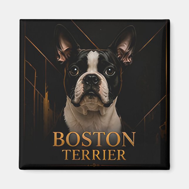 Íman Coleção Clássica Americana Boston Terrier (Frente)