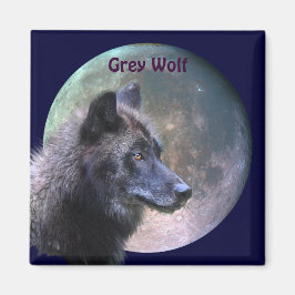 Íman Coleção de cinzas Wolf & Full Moon Willife