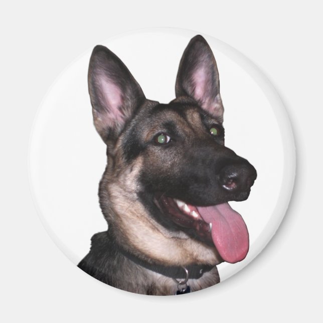 Íman Coleção de german shepherd (Frente)