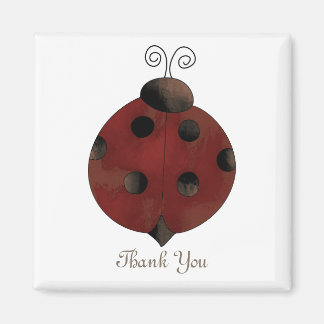 Íman Coleção de Jardins - Ladybug