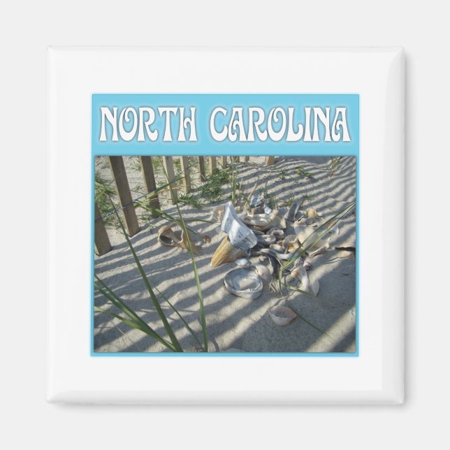 Íman Coleção de Seashell de Praia de Emerald Isle (Frente)