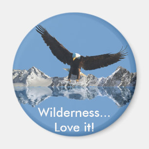 Íman Coleção de VOO do EAGLE