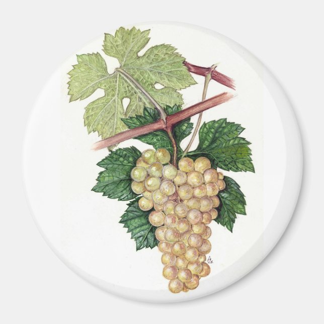 Íman Coleção Dionysus & Rhea (Frente)