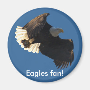 Íman Coleção II do vôo da águia americana