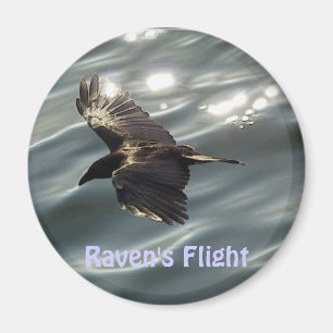 Íman Coleção MAGNÉTICA