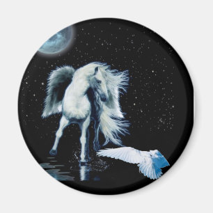 Íman Coleção PEGASUS & WHITE RAVEN