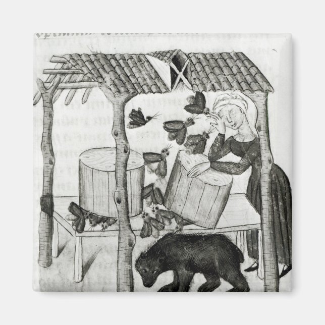 Íman Coletar Mel (Frente)