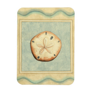 Íman Coletor de Shell