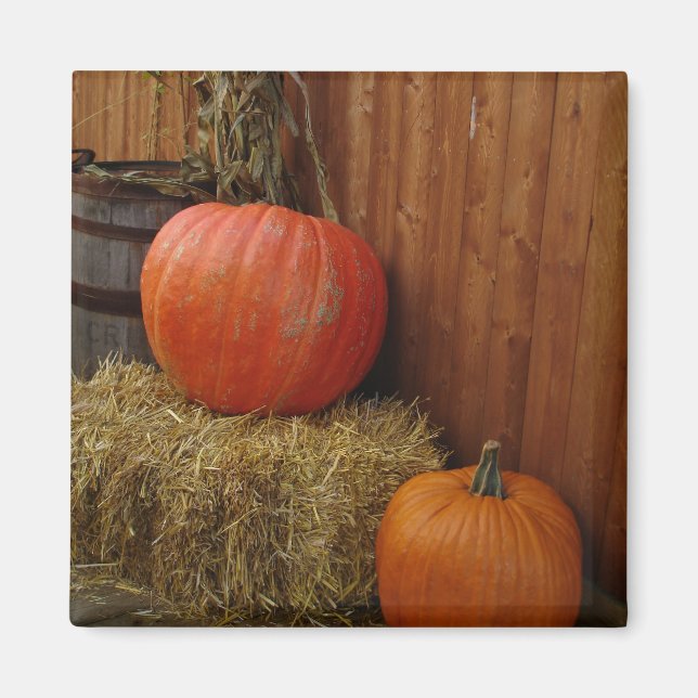 Íman Colheita (Frente)