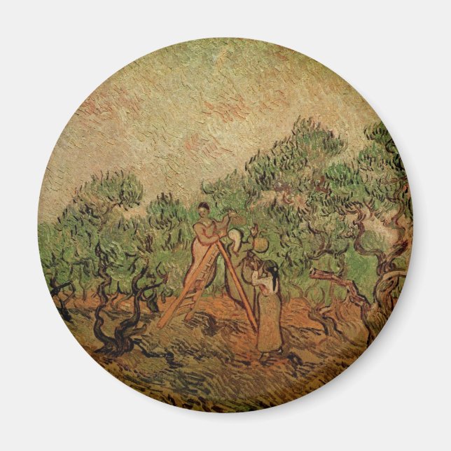 Íman Colheita de Azeitonas por Vincent van Gogh (Frente)