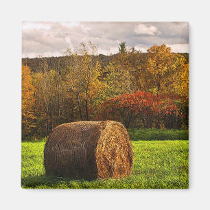 Íman Colheita de outono