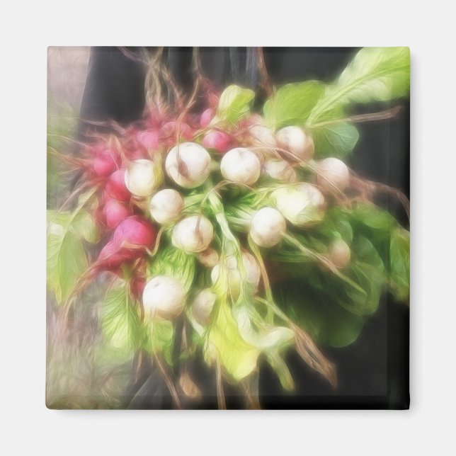 Íman Colheita de Rabanete e Nabo (Frente)