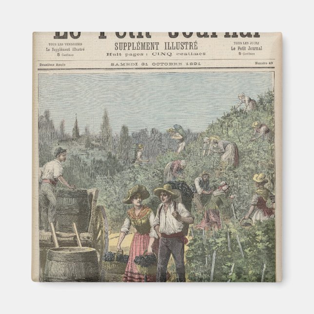 Íman Colheita De Vinhos (Frente)