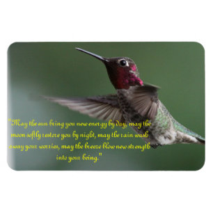 Íman Colibri com dizer de Apache
