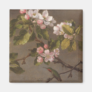 Íman Colibri e flores de Apple