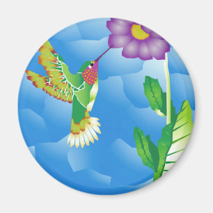 Íman Colibri: Estilizado