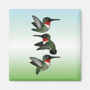 Íman Colibri Rubi-throated de voo